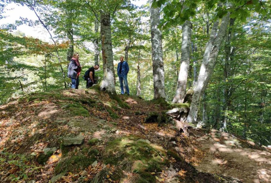 Preuzeto sa izvora: JuGmedia