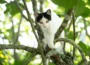 Foto: Getty Images